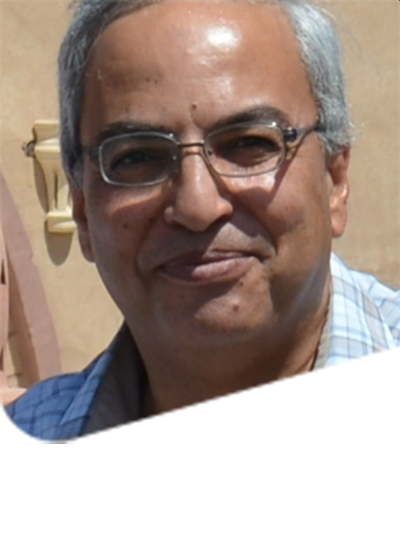 Reda A. Ali