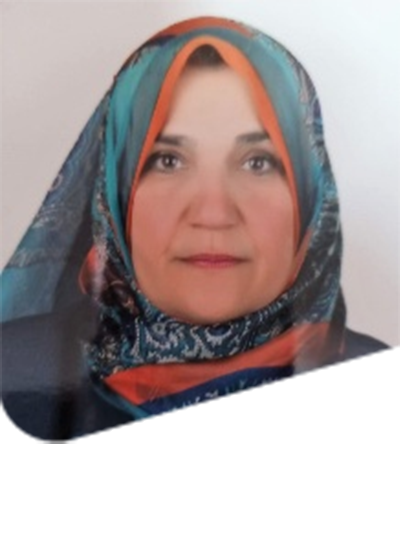 Samira R. Mansour